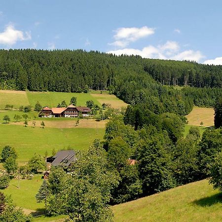 Ferienwohnung Riehle Hof Zell am Harmersbach Exterior foto