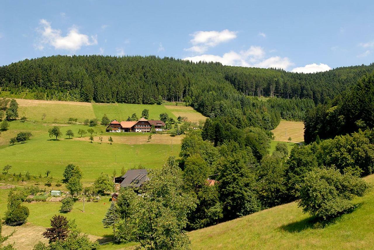 Ferienwohnung Riehle Hof Zell am Harmersbach Exterior foto